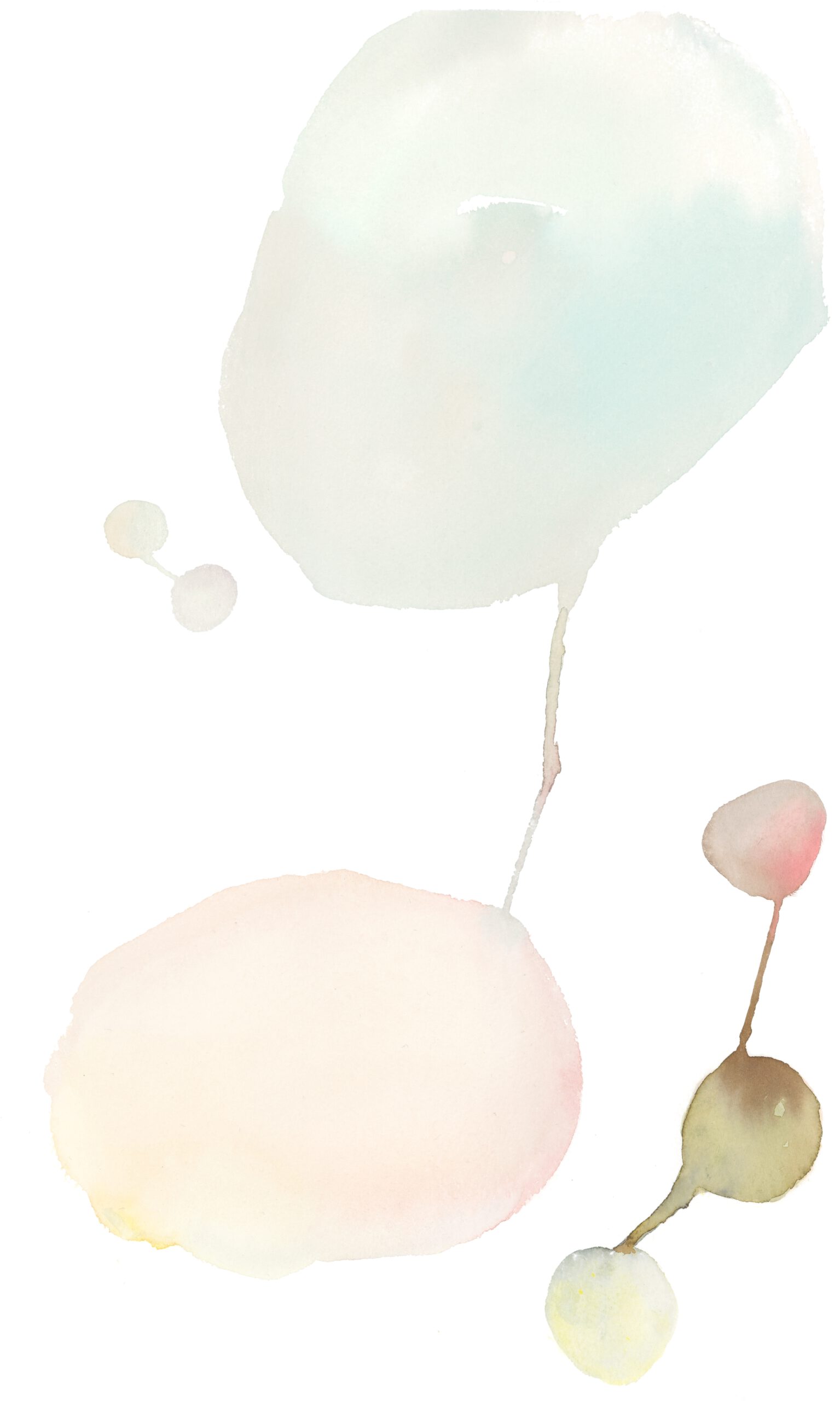 BERMUDEZ, Laila_Saga 16